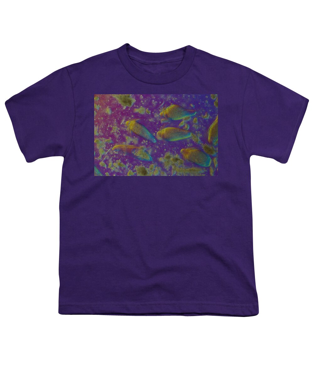 Biology Youth T-Shirt featuring the photograph Trichonympha Campanula, Lm by Michael Abbey