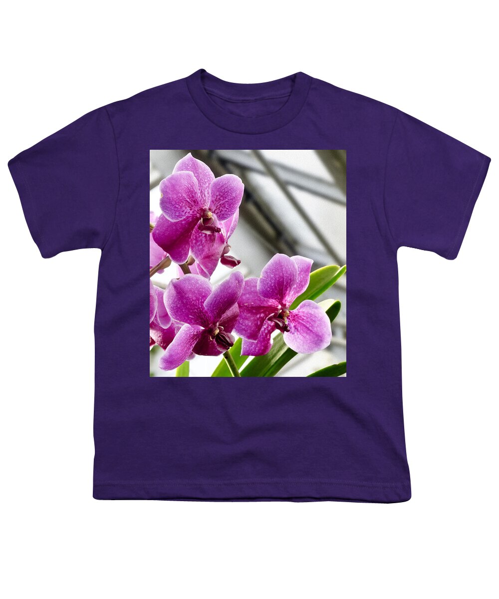 Magenta Spotty Orchids Youth T-Shirt featuring the photograph Eager by Elena Perelman