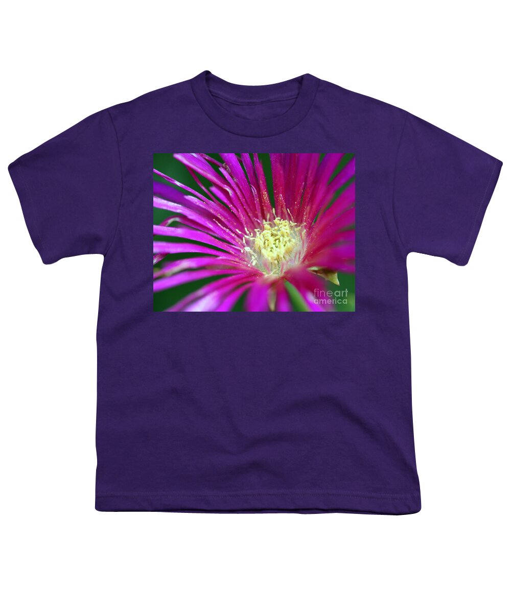 Plant Youth T-Shirt featuring the photograph Lampranthus by Henrik Lehnerer