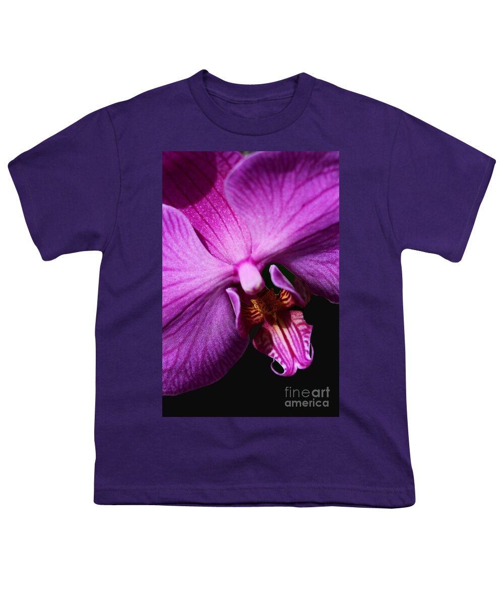 Orchid Youth T-Shirt featuring the photograph Purple Passion by Cindy Manero