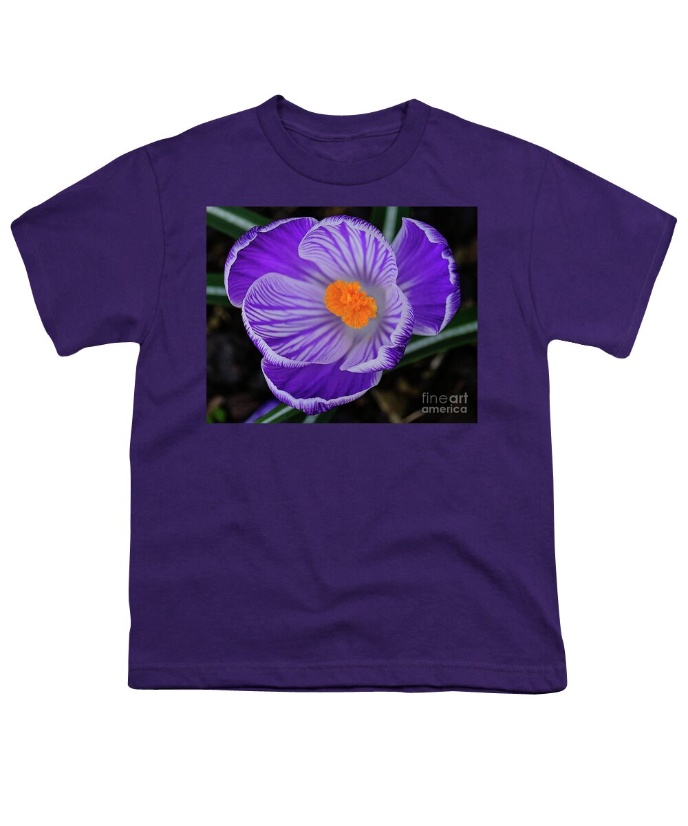 Crocus Youth T-Shirt featuring the photograph Crocus From Above by Neil Maclachlan