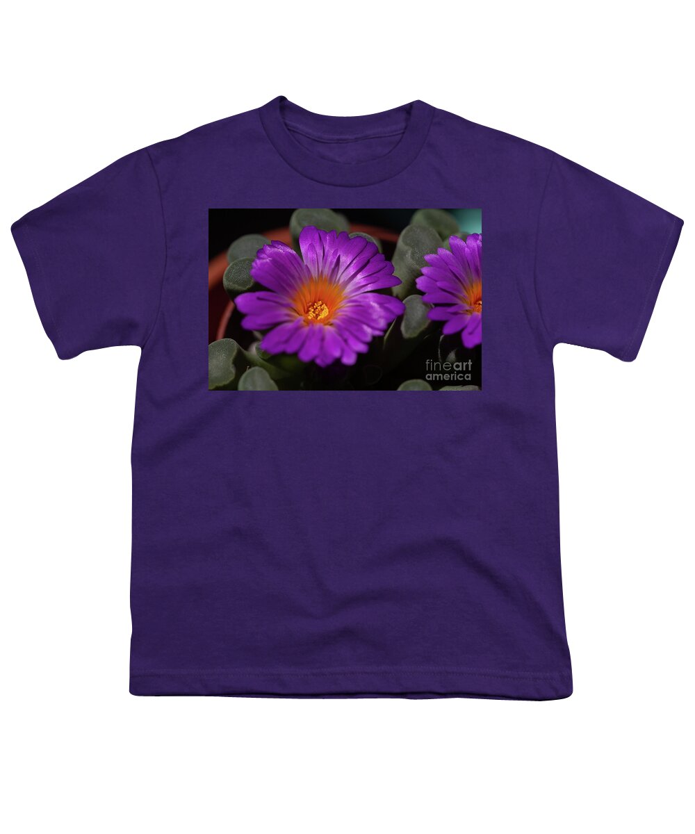 Flower Youth T-Shirt featuring the photograph Frithia Pulchra by Eva Lechner