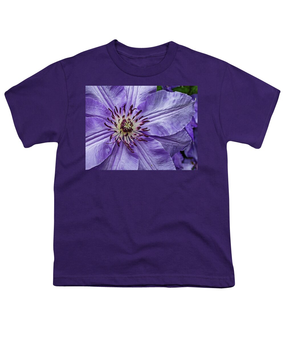 Clematis Youth T-Shirt featuring the photograph Purple Clematis Flower Photograph by Louis Dallara