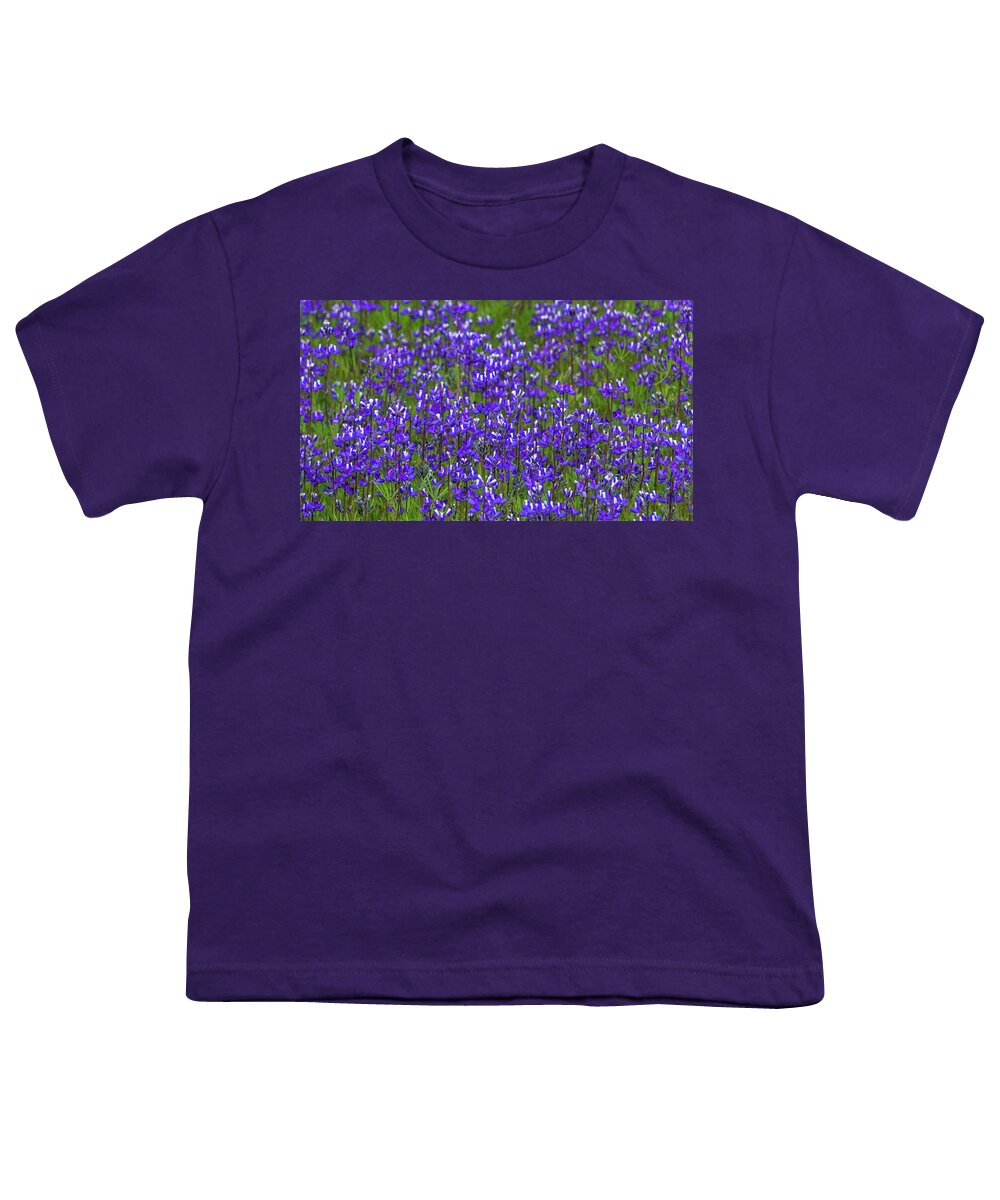 Lupine Youth T-Shirt featuring the photograph Sky Lupine Dry Creek Canyon by Brett Harvey