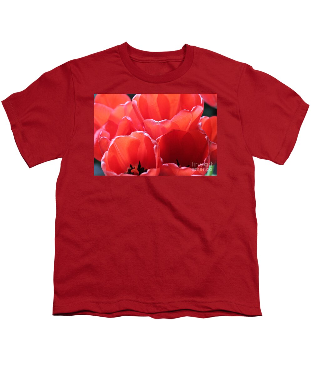 Landscape Youth T-Shirt featuring the photograph Red Tulips #2 by Donna L Munro