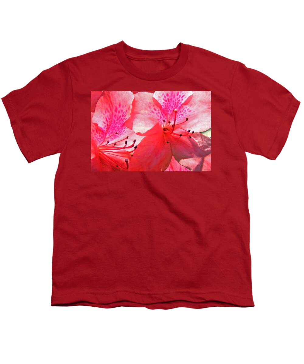 Plants Youth T-Shirt featuring the photograph Azaleas Upclose by Duane McCullough