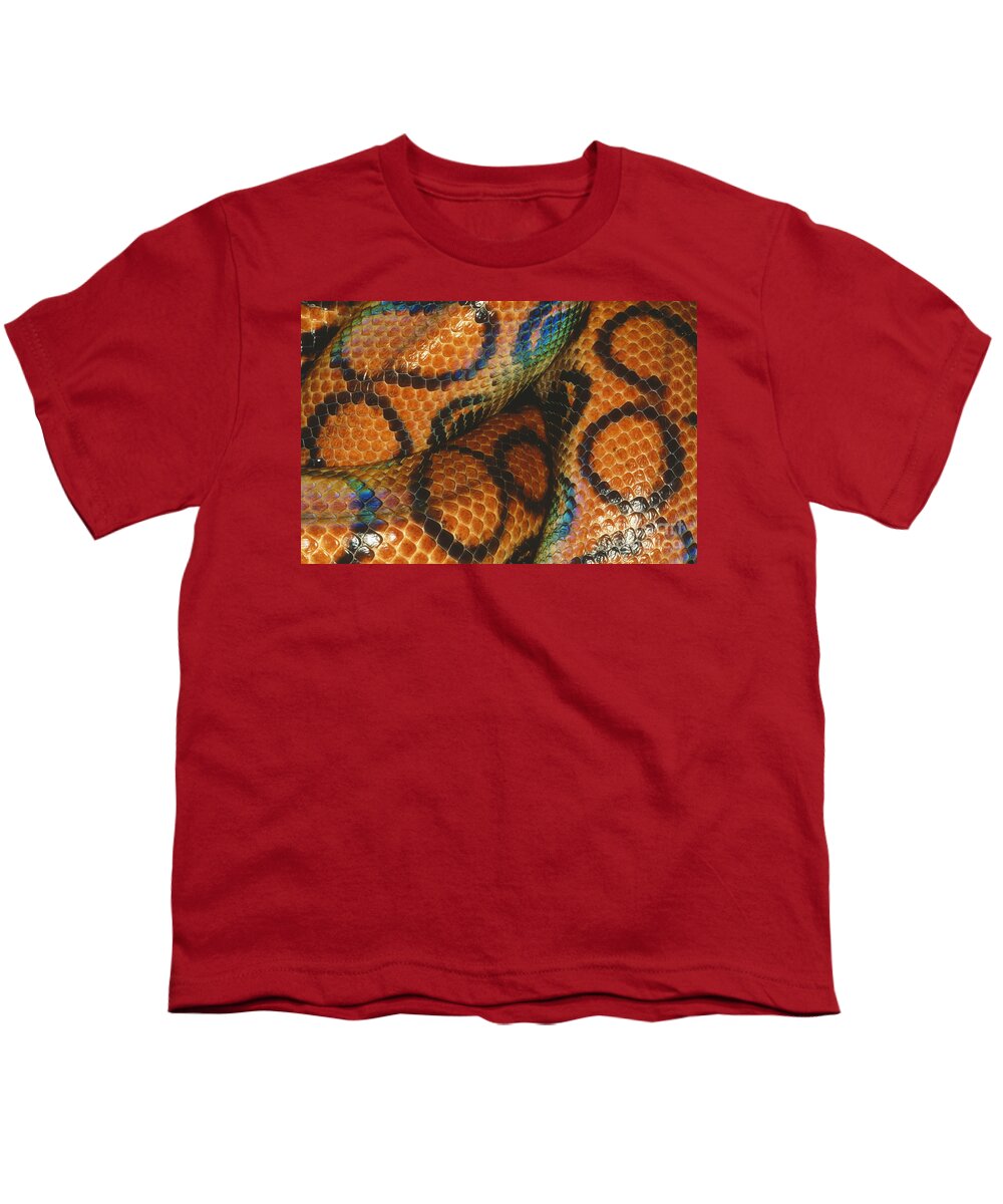 Animal Youth T-Shirt featuring the photograph Coils Of A Brazilian Rainbow Boa by Gregory G. Dimijian