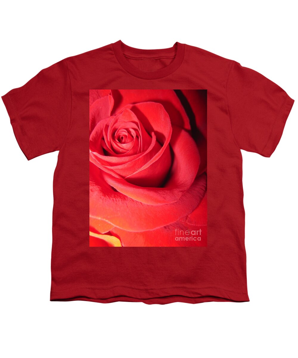 Floral Youth T-Shirt featuring the photograph Luminous Red Rose 6 by Tara Shalton