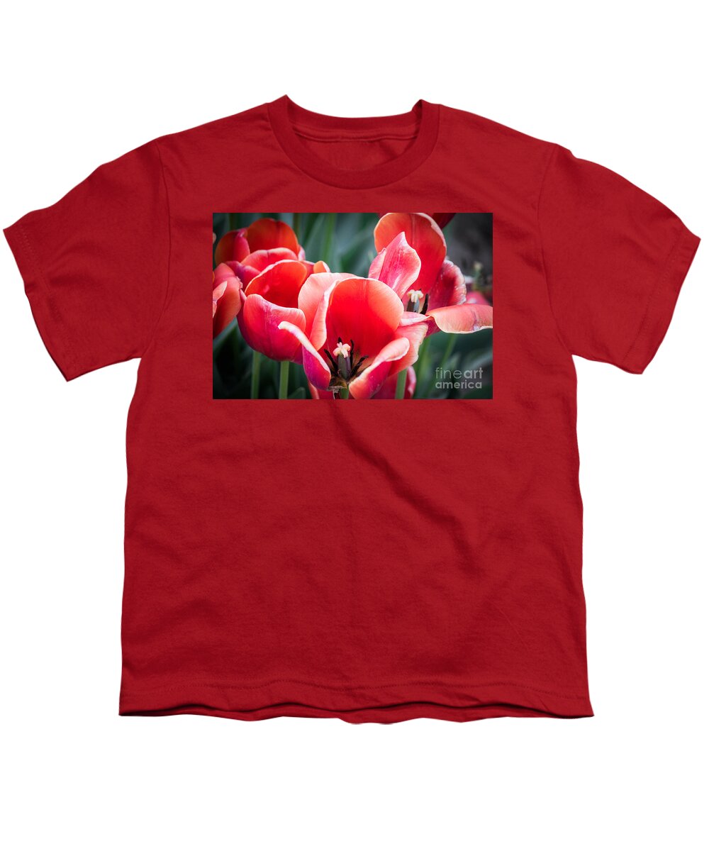 Red Youth T-Shirt featuring the photograph Opening Up by Patricia Babbitt