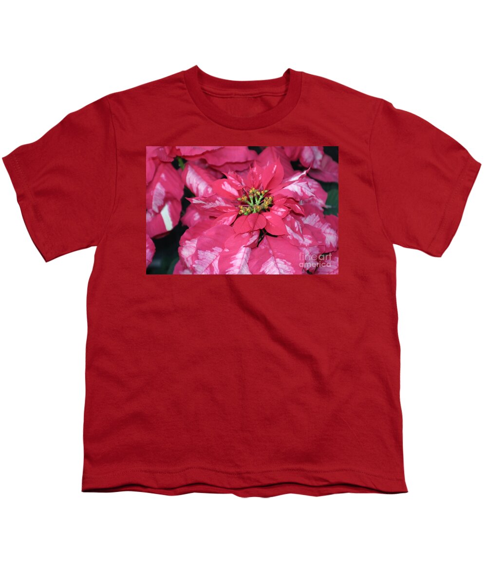 Poinsettia Youth T-Shirt featuring the photograph Poinsettia Passion by Living Color Photography Lorraine Lynch