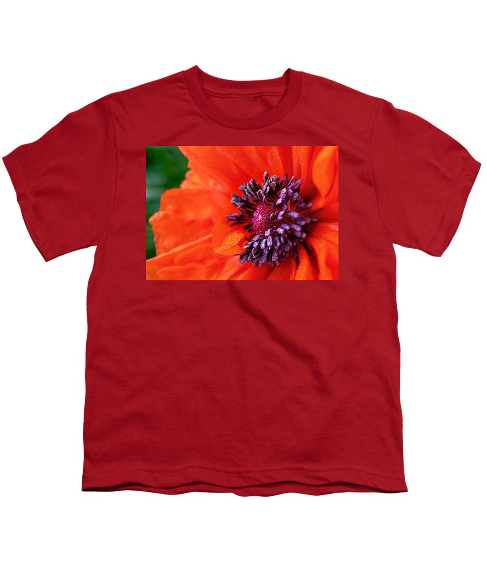 Poppies Youth T-Shirt featuring the photograph Poppy's Purple Passion by Bill Pevlor