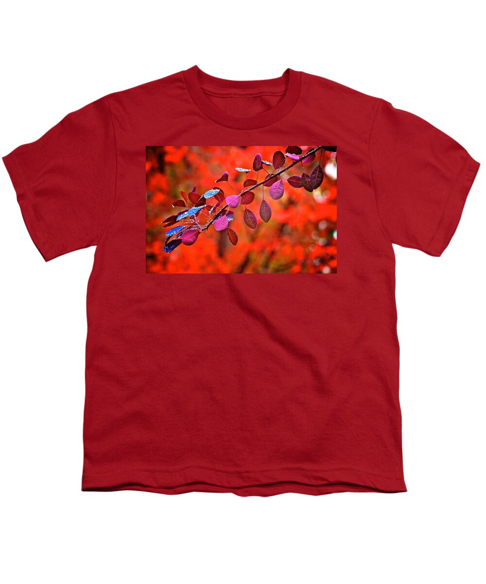 Smoke Bush Youth T-Shirt featuring the photograph Red colors in fall by Lynn Hopwood