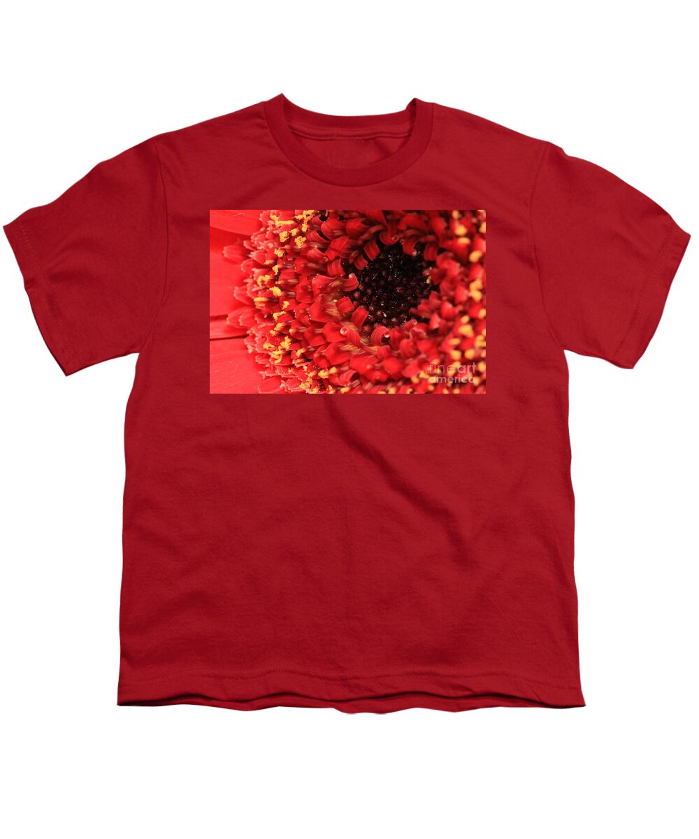 Gerbera Youth T-Shirt featuring the photograph Red Flower Macro by Amanda Mohler