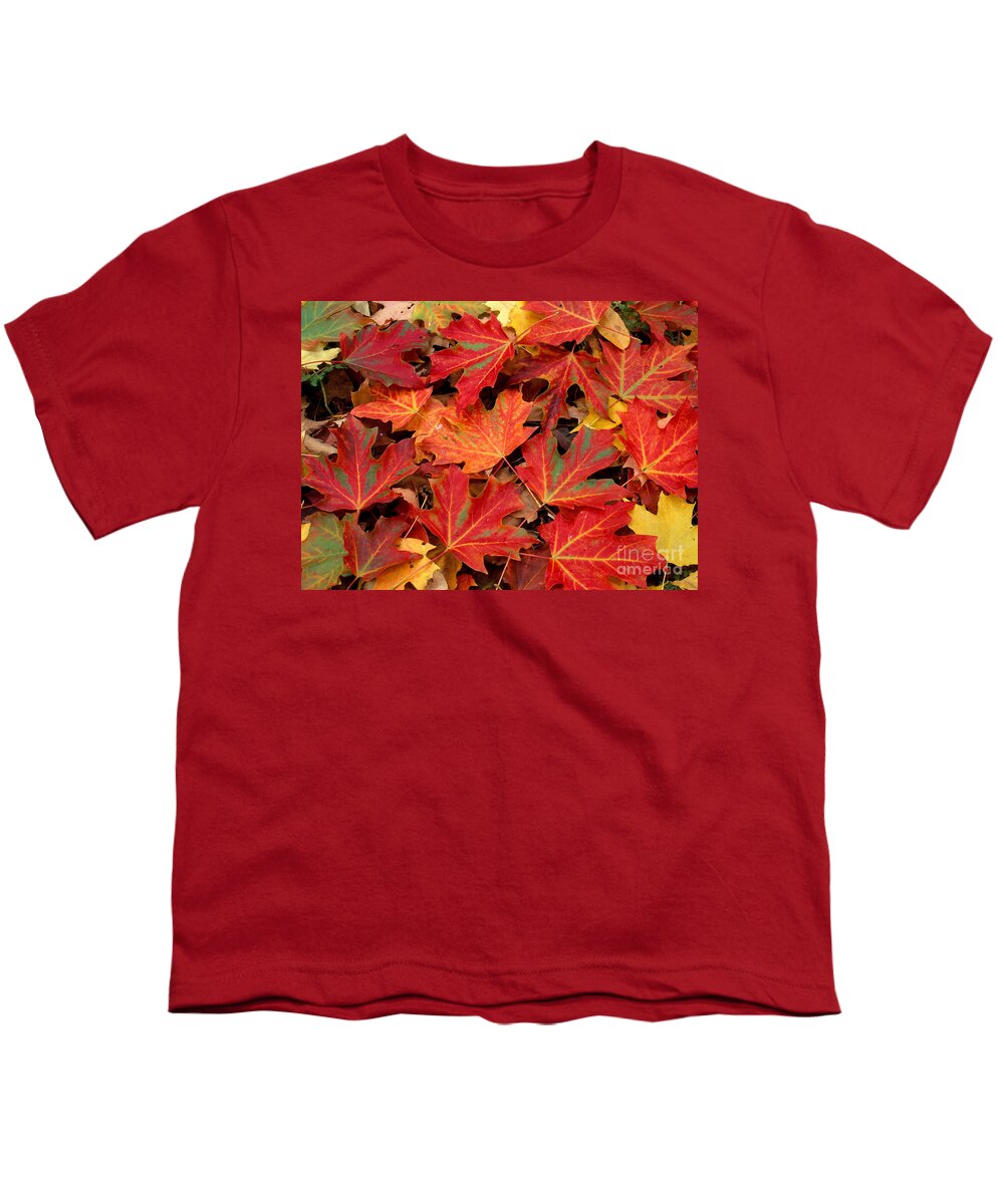 Sugar Maple Leaves Youth T-Shirt featuring the photograph Sugar Maple Leaves by Michael P Gadomski