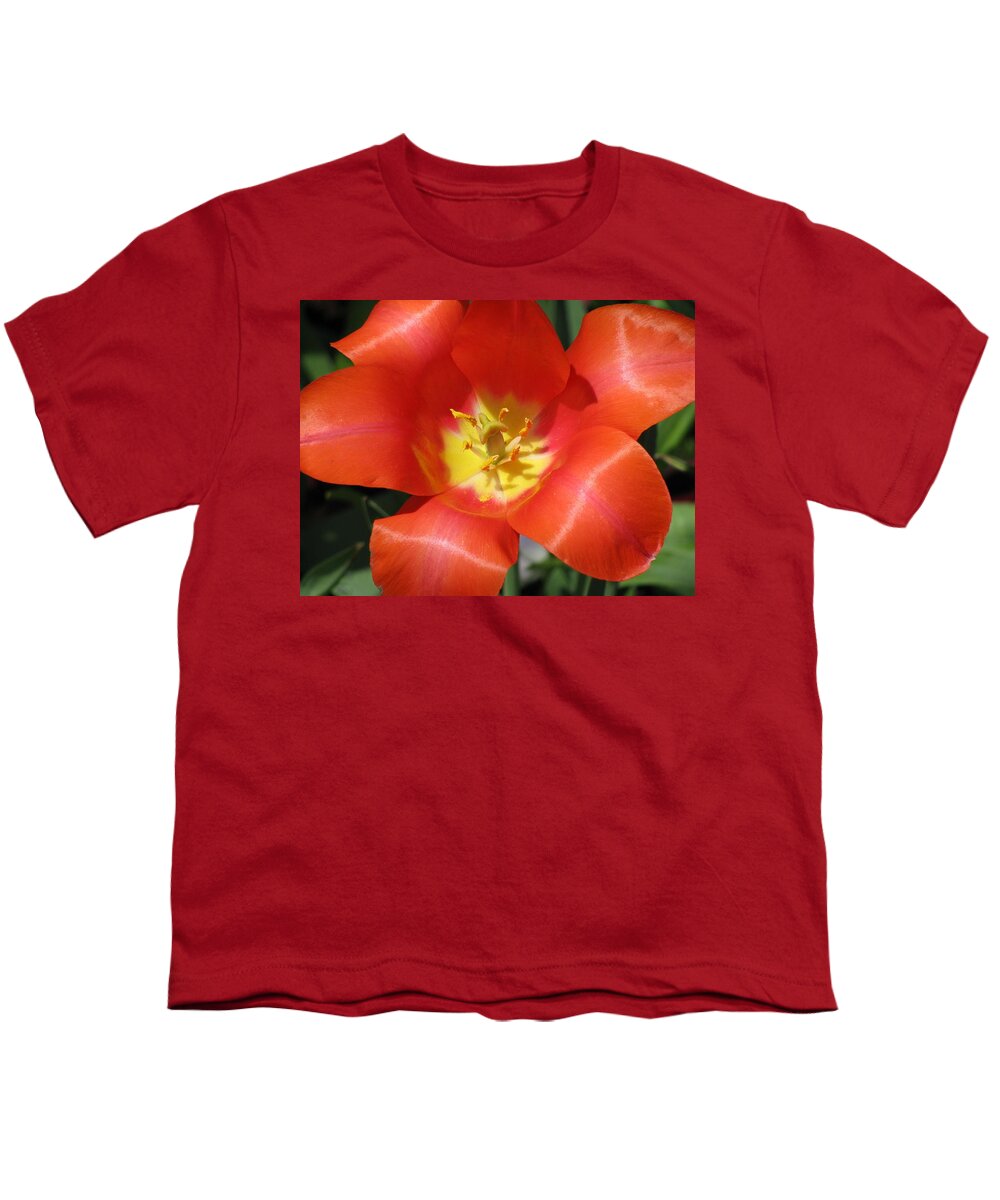 Tulip Youth T-Shirt featuring the photograph Tulips - Desire 05 by Pamela Critchlow