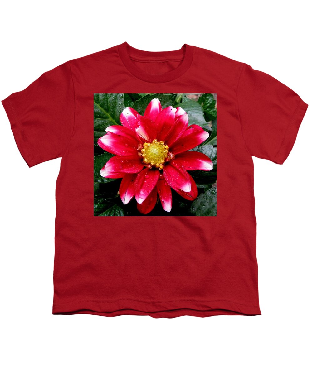 Dahlia Youth T-Shirt featuring the photograph After The Rain by Kim Galluzzo