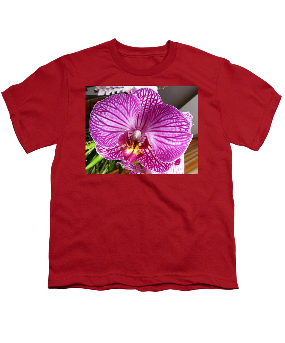Orchid Youth T-Shirt featuring the photograph Pink Orchid by Amalia Suruceanu