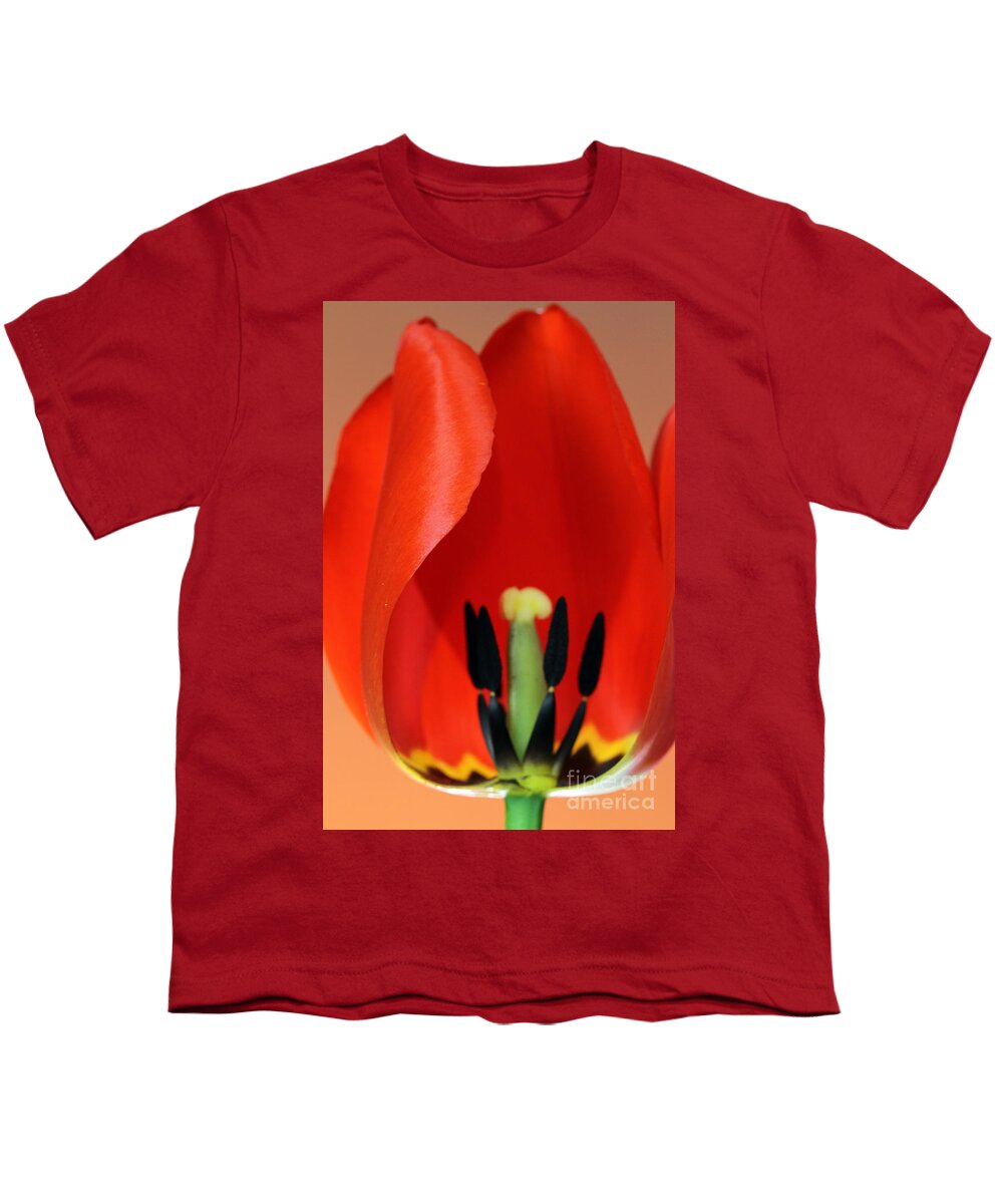 Pollen Youth T-Shirt featuring the photograph Stamen Of Tulip by Photo Researchers Inc