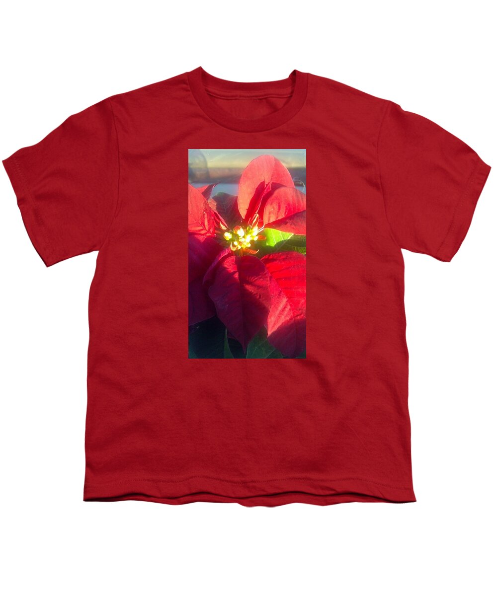 Poinsettia Youth T-Shirt featuring the photograph Christmas Flower #1 by Brenda Winters