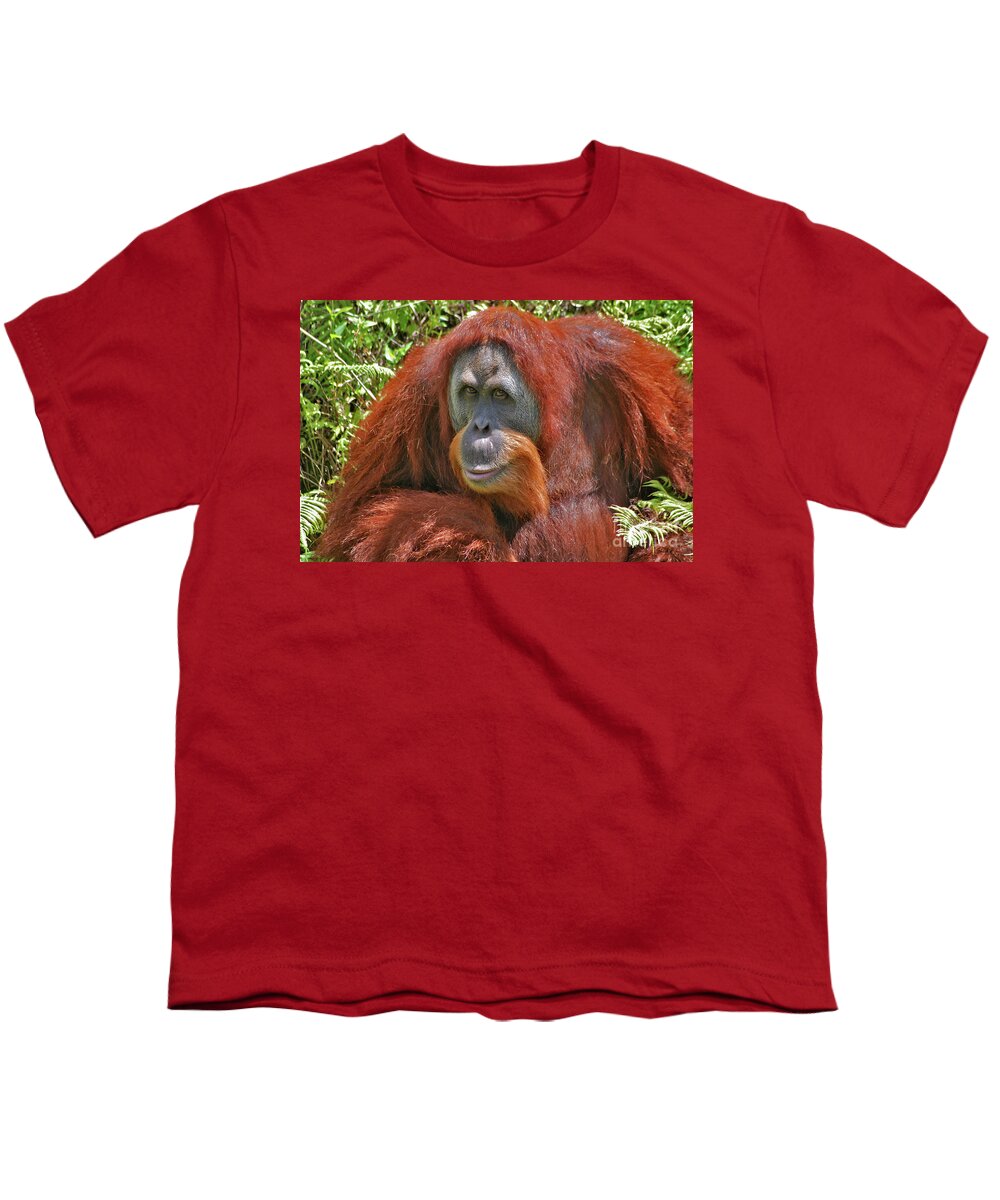Bonnie Youth T-Shirt featuring the photograph 31- Orangutan by Joseph Keane