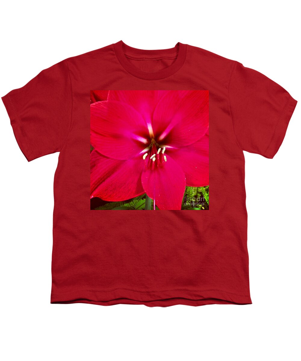 Flower Youth T-Shirt featuring the photograph Amaryllis Detail by Denise Railey
