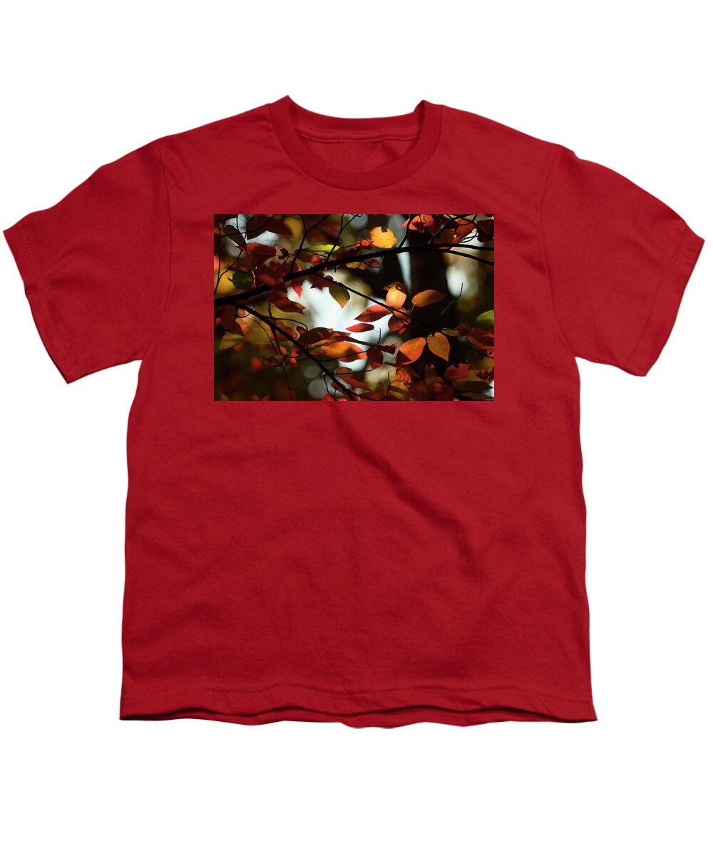 Fall Leaves Youth T-Shirt featuring the photograph Autumn Changing by Mike Eingle