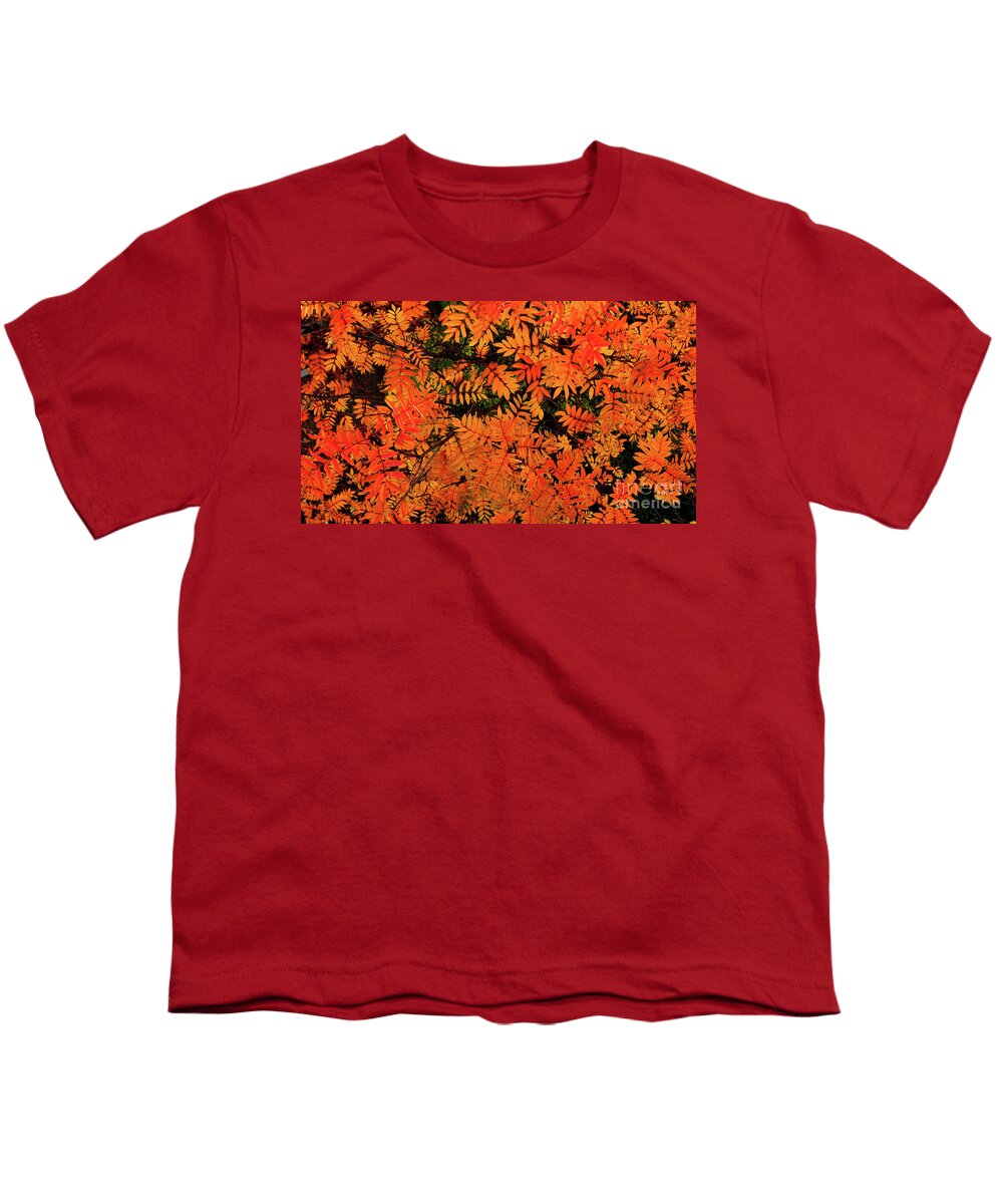 Youth T-Shirt featuring the digital art Autumn in Maple Creek by Darcy Dietrich