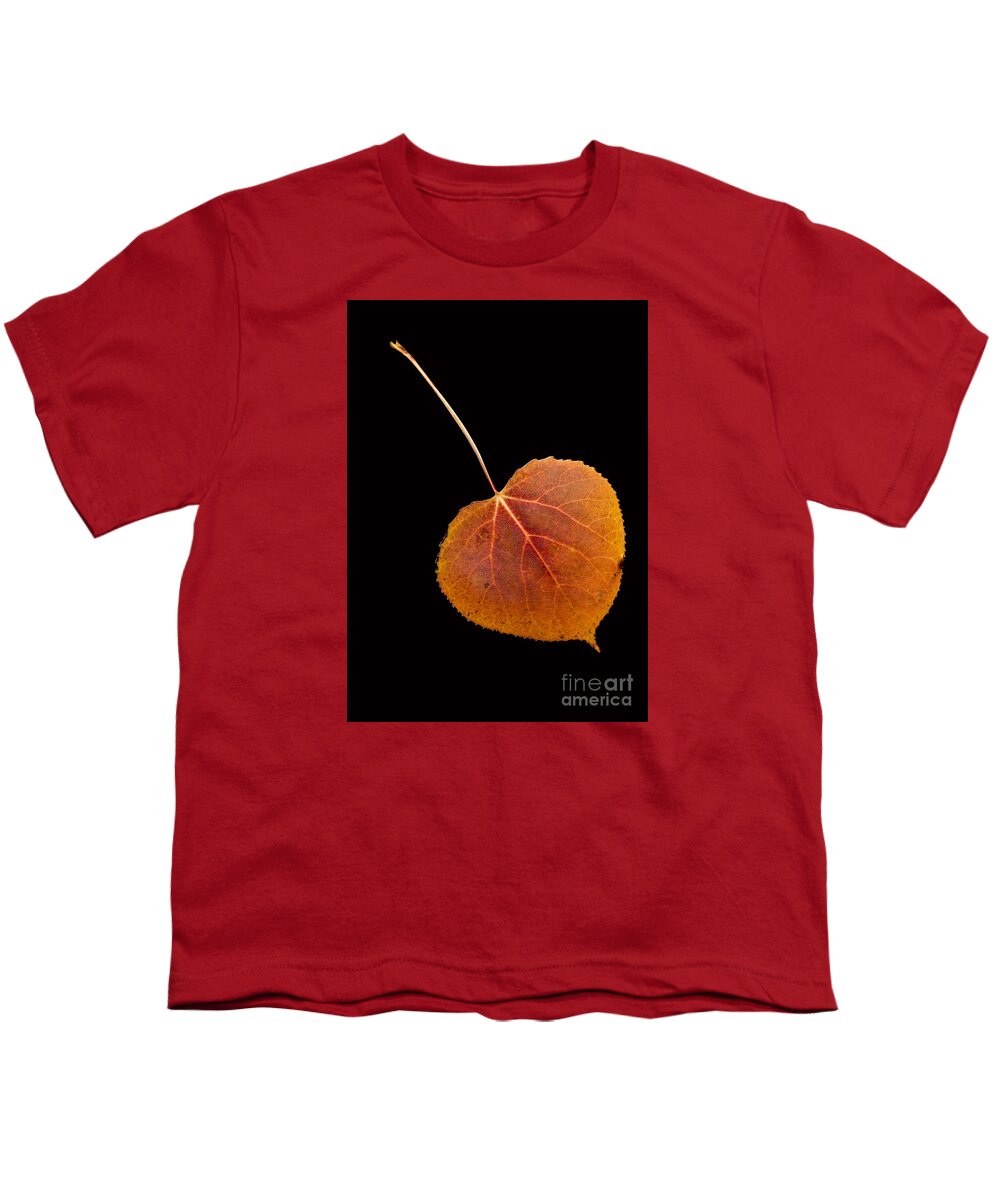Autumn Youth T-Shirt featuring the photograph Autumn Leaf by Edward Fielding