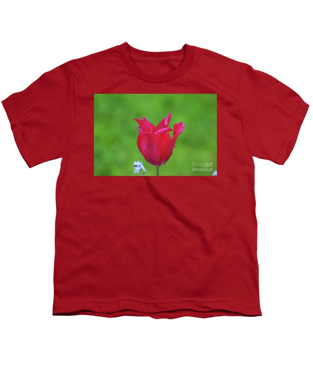 Tulip Youth T-Shirt featuring the photograph Beautiful Dark Pink Flowering Tulip in the Spring by DejaVu Designs