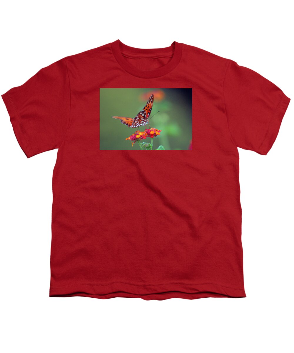 Butterfly Youth T-Shirt featuring the photograph Butterfly Majestic by DB Hayes