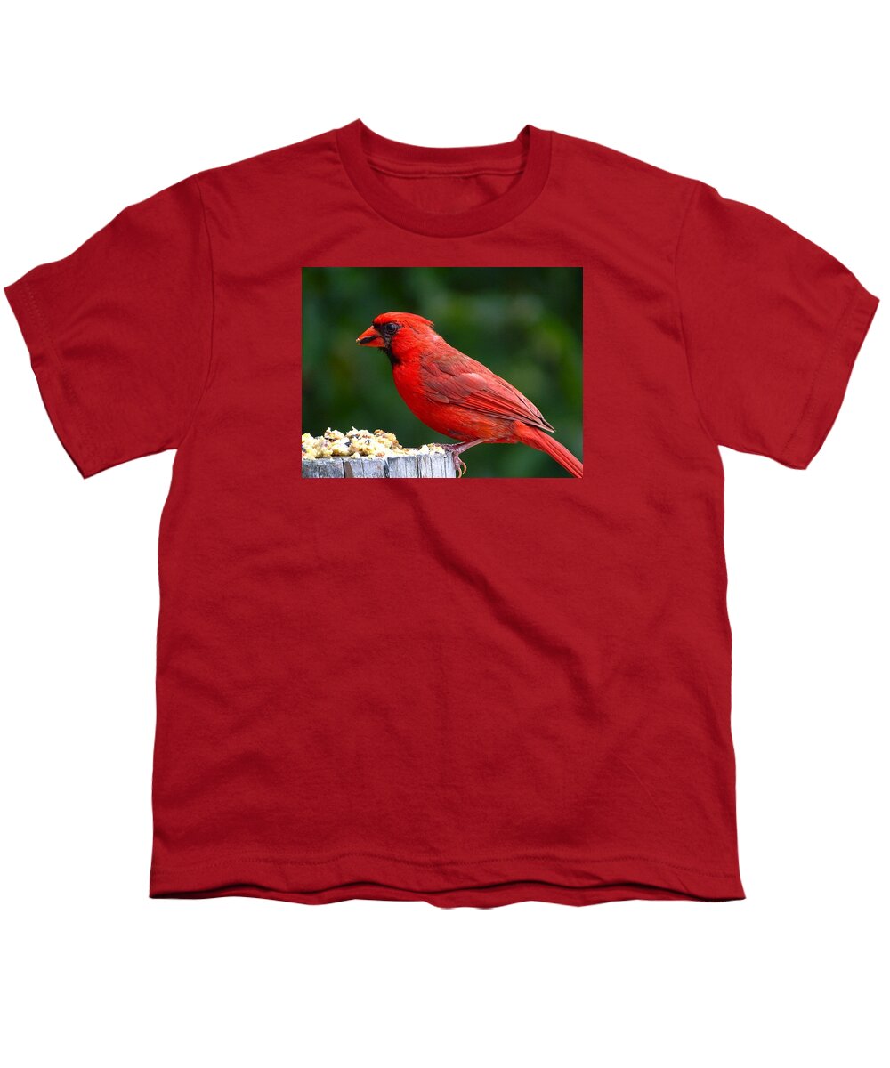 Bird Youth T-Shirt featuring the photograph Cardinal by Lilia S
