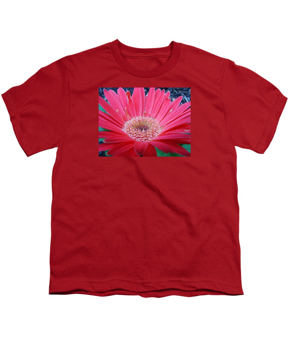 Floral Youth T-Shirt featuring the photograph Dancing Ballerinas by Mary Halpin