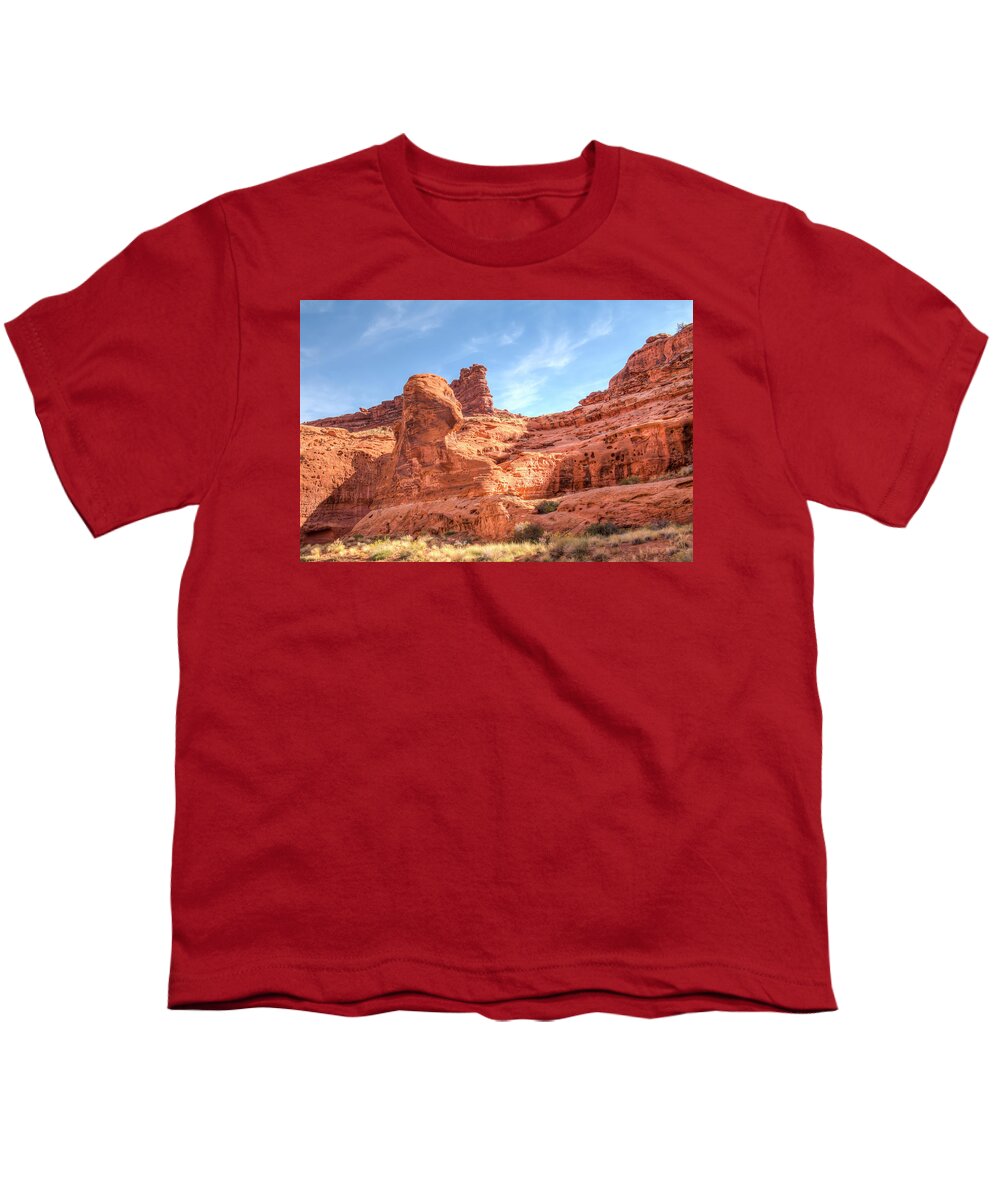 National Park Youth T-Shirt featuring the photograph Facing The Sun by Kristina Rinell