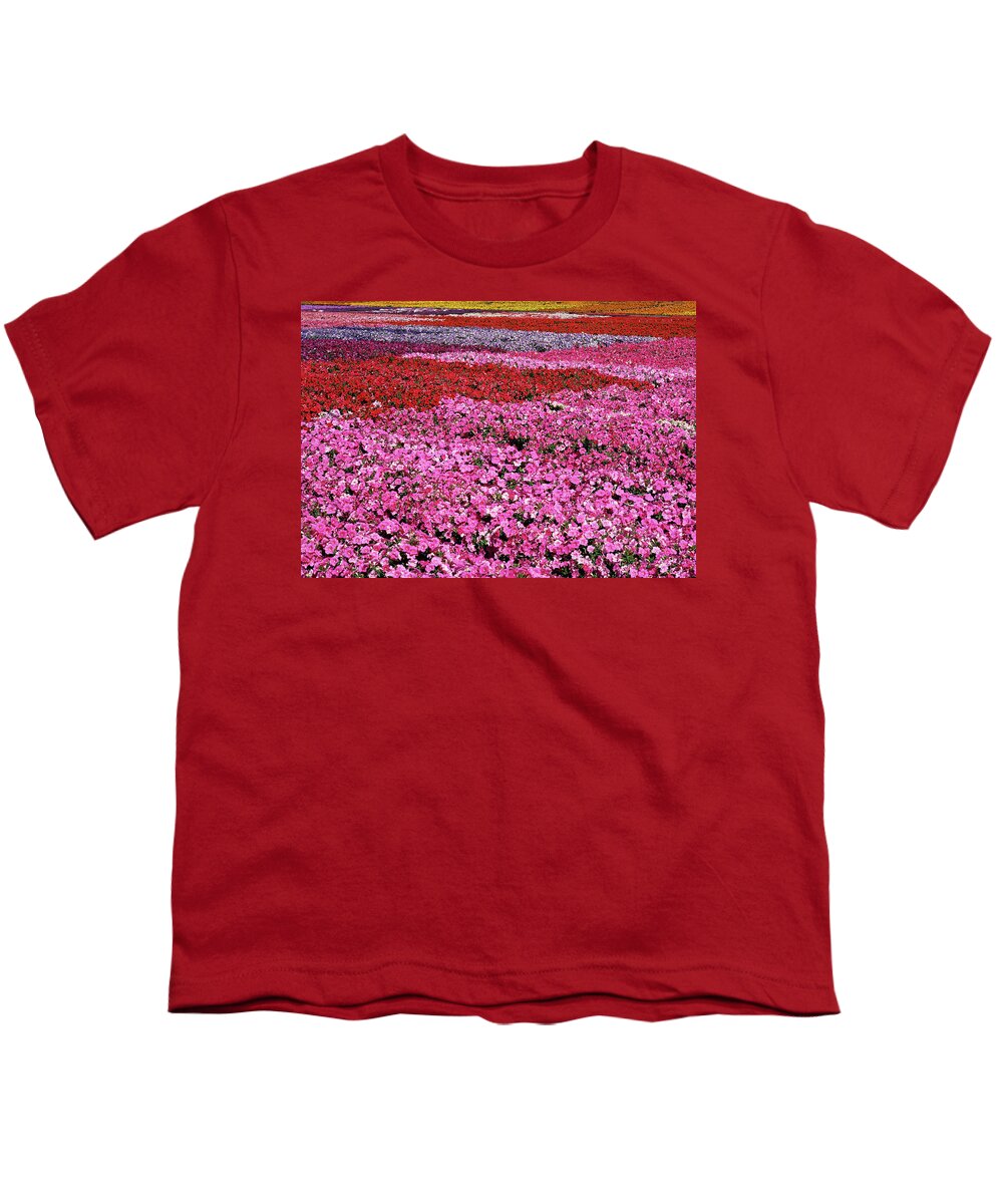 Petunia Youth T-Shirt featuring the photograph Field of Petunia Flowers Gilroy California by Kathy Anselmo
