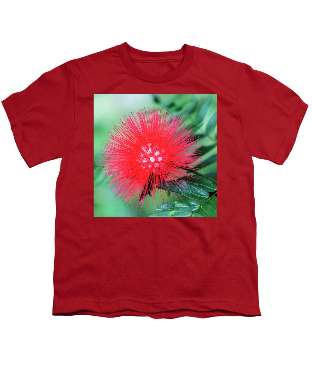 Fireworks Flower Youth T-Shirt featuring the photograph Fireworks flower in nature by Vishwanath Bhat