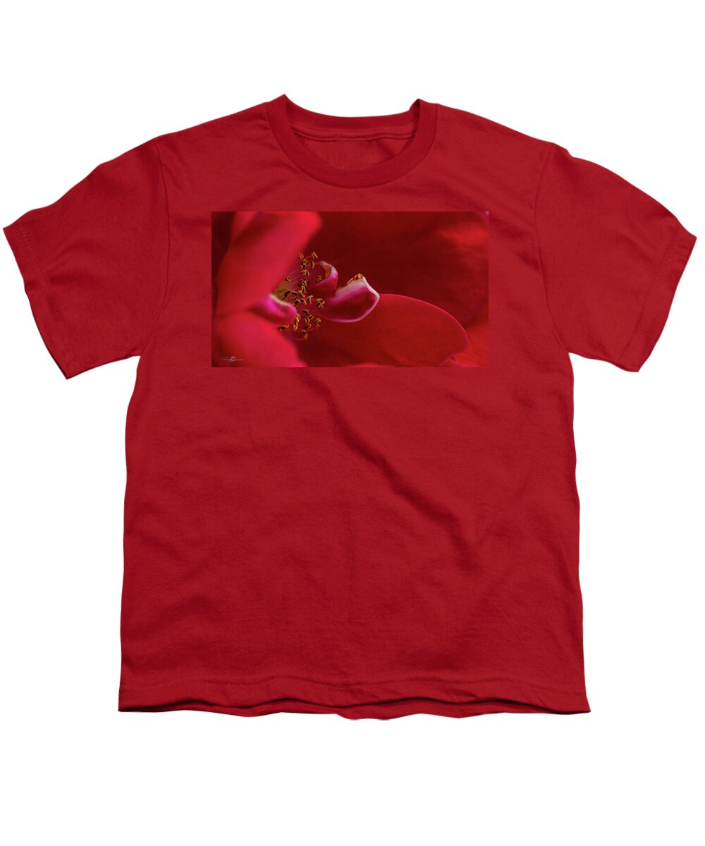 Rosa 'flammentanz' Youth T-Shirt featuring the photograph Flammentanz by Torbjorn Swenelius