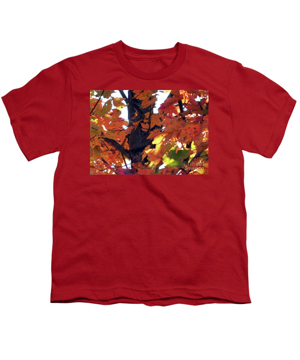 Tree Youth T-Shirt featuring the photograph Headed For A Fall 4 by Lydia Holly