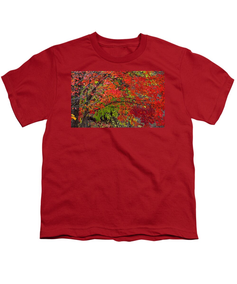 Layers Youth T-Shirt featuring the photograph Layers by Edward Smith