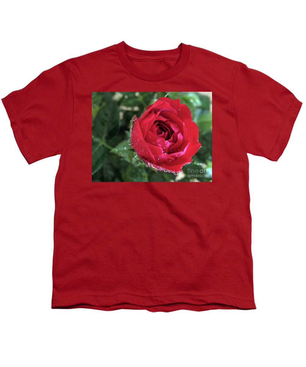 Rose Youth T-Shirt featuring the photograph Mini Beauty 2 by Kim Tran