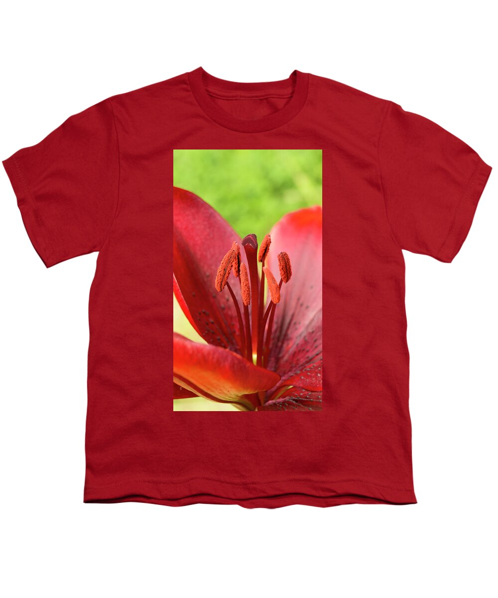Red Youth T-Shirt featuring the photograph One flower wish for prosperity. by Elena Perelman