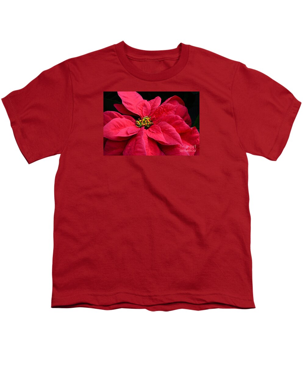Flowers Youth T-Shirt featuring the photograph Pointsettia Close Up by Cindy Manero