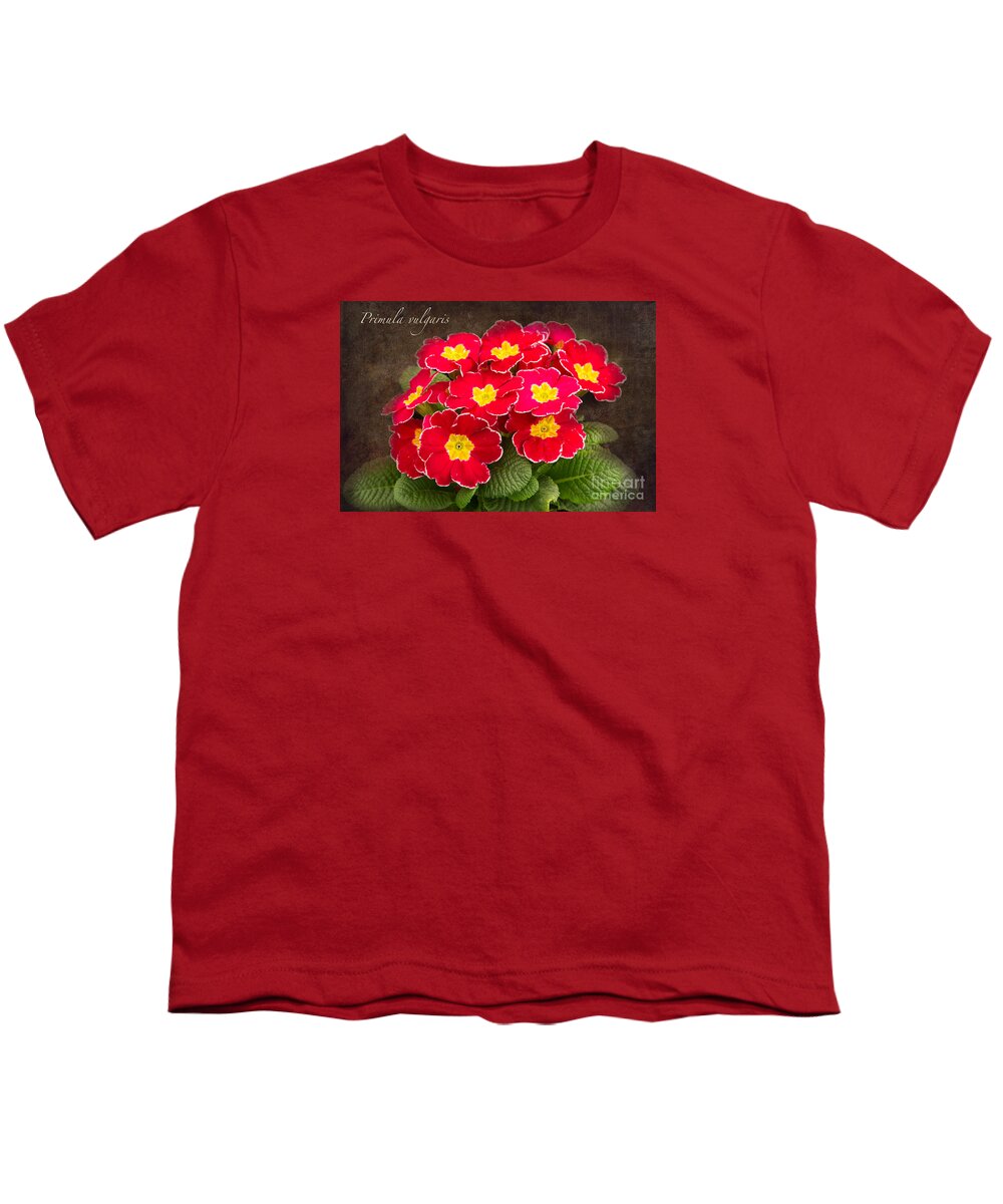 Primula Youth T-Shirt featuring the photograph Primula vulgaris by Marilyn Cornwell