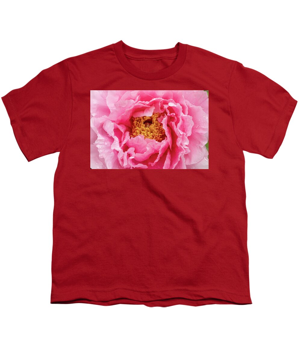 Paeonia Lactiflora Youth T-Shirt featuring the photograph Rain drops on Chinese peony abstract background by Karen Foley
