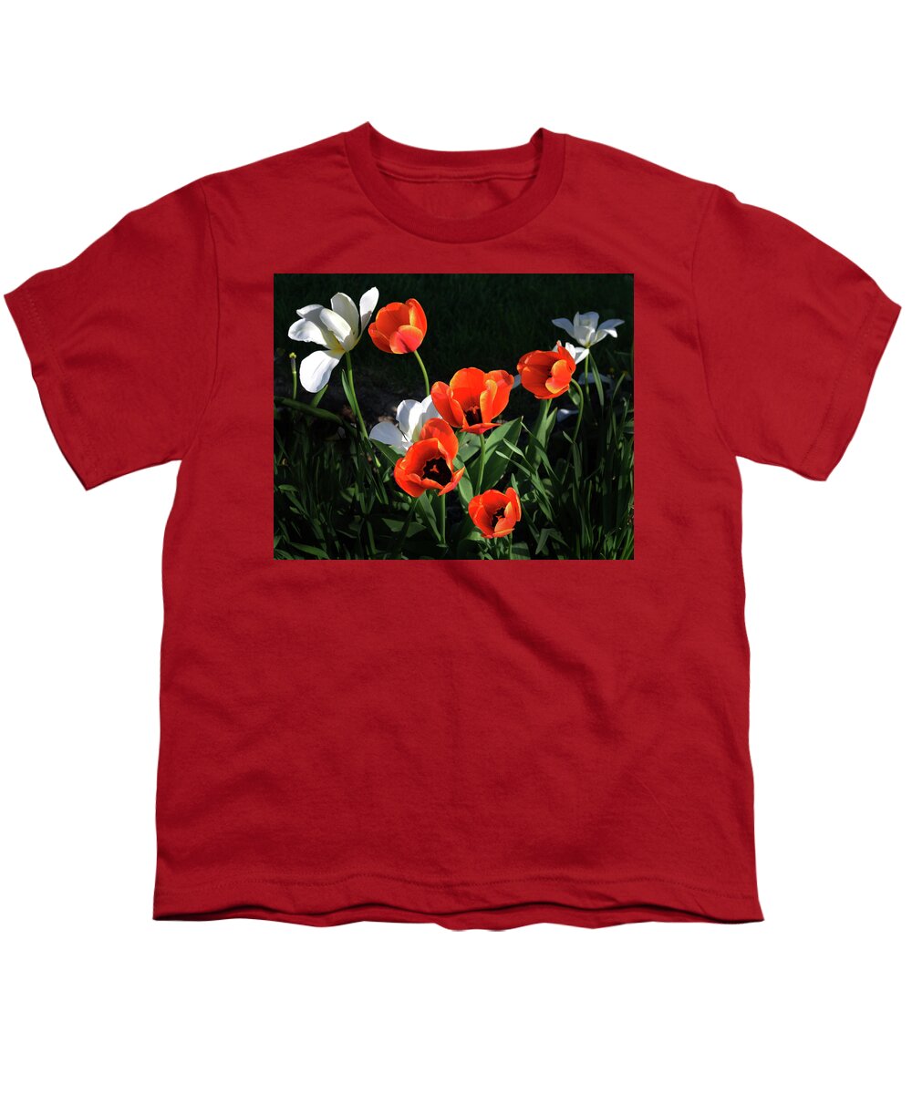 Garden Youth T-Shirt featuring the photograph Red and White Tulips by Kathleen Stephens