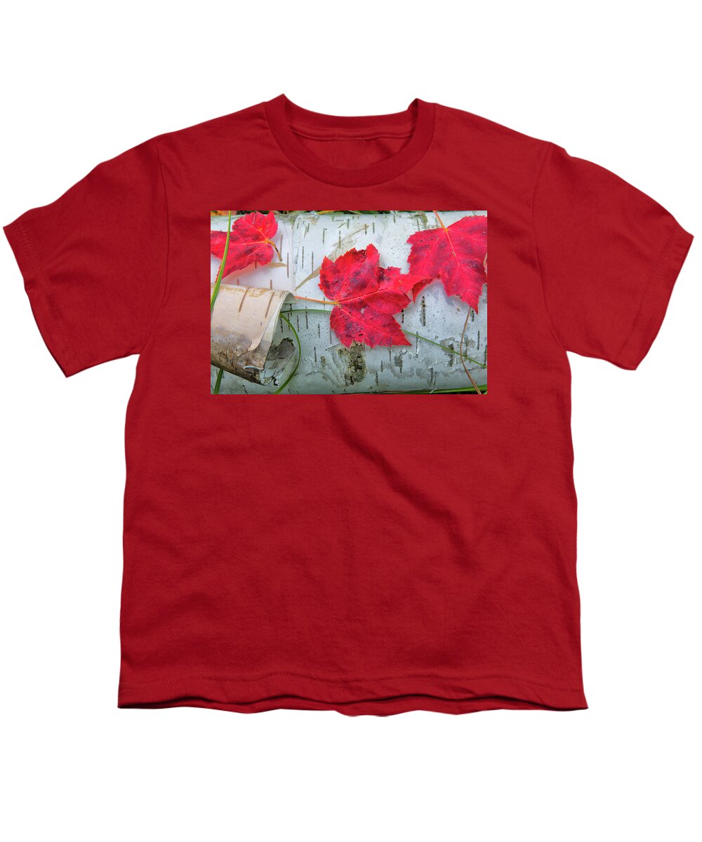 Maple Leaves Youth T-Shirt featuring the photograph Red Leaves by Nancy Dunivin
