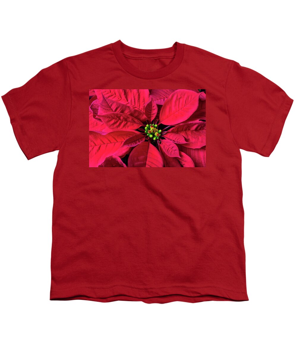 Red Poinsettia Youth T-Shirt featuring the photograph Red Poinsettia by Garry Gay