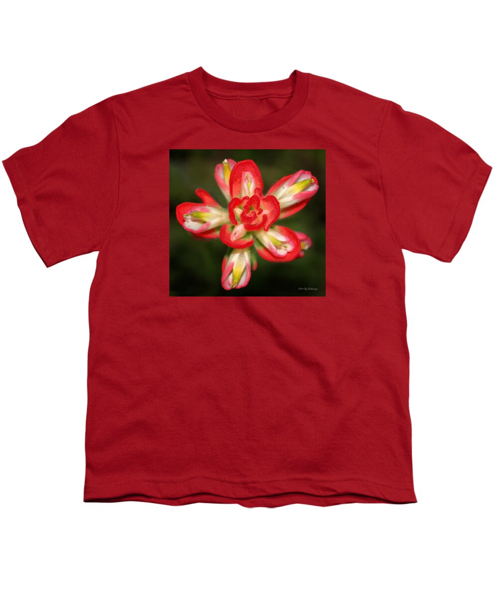 Indian Paintbrush Youth T-Shirt featuring the photograph Sugar Frosted Paintbrush by Lucy VanSwearingen