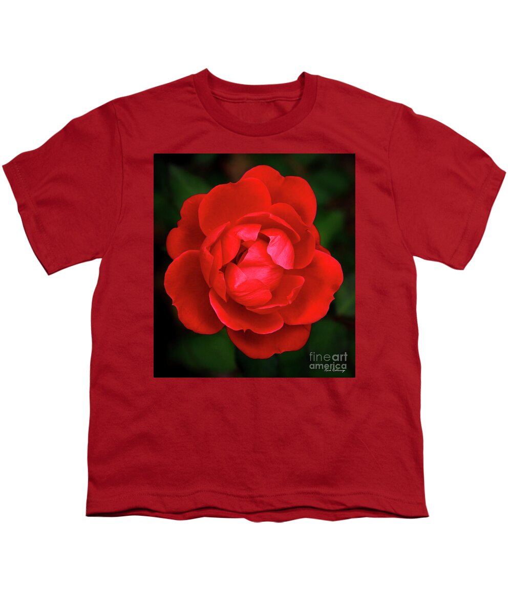 Reid Callaway The Rose 8 Youth T-Shirt featuring the photograph Almost Open Rose 7 Flower Art by Reid Callaway