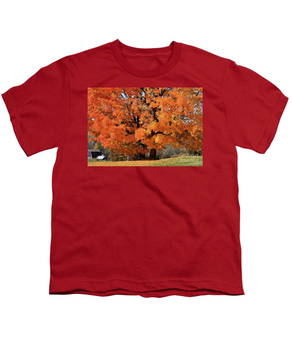Autumn Youth T-Shirt featuring the photograph Tree On Fire by Deborah Benoit