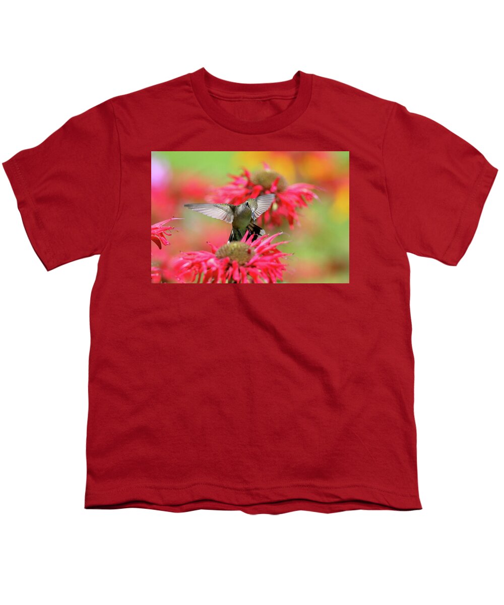Hummingbird Youth T-Shirt featuring the photograph Hummingbird And Bee Balm 5 by Brook Burling